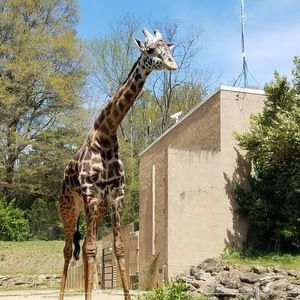 Meet your Posher, Thefireballnerds